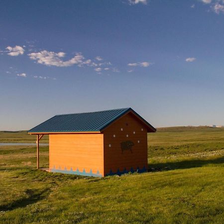 Lodgepole Gallery Browning Exterior foto